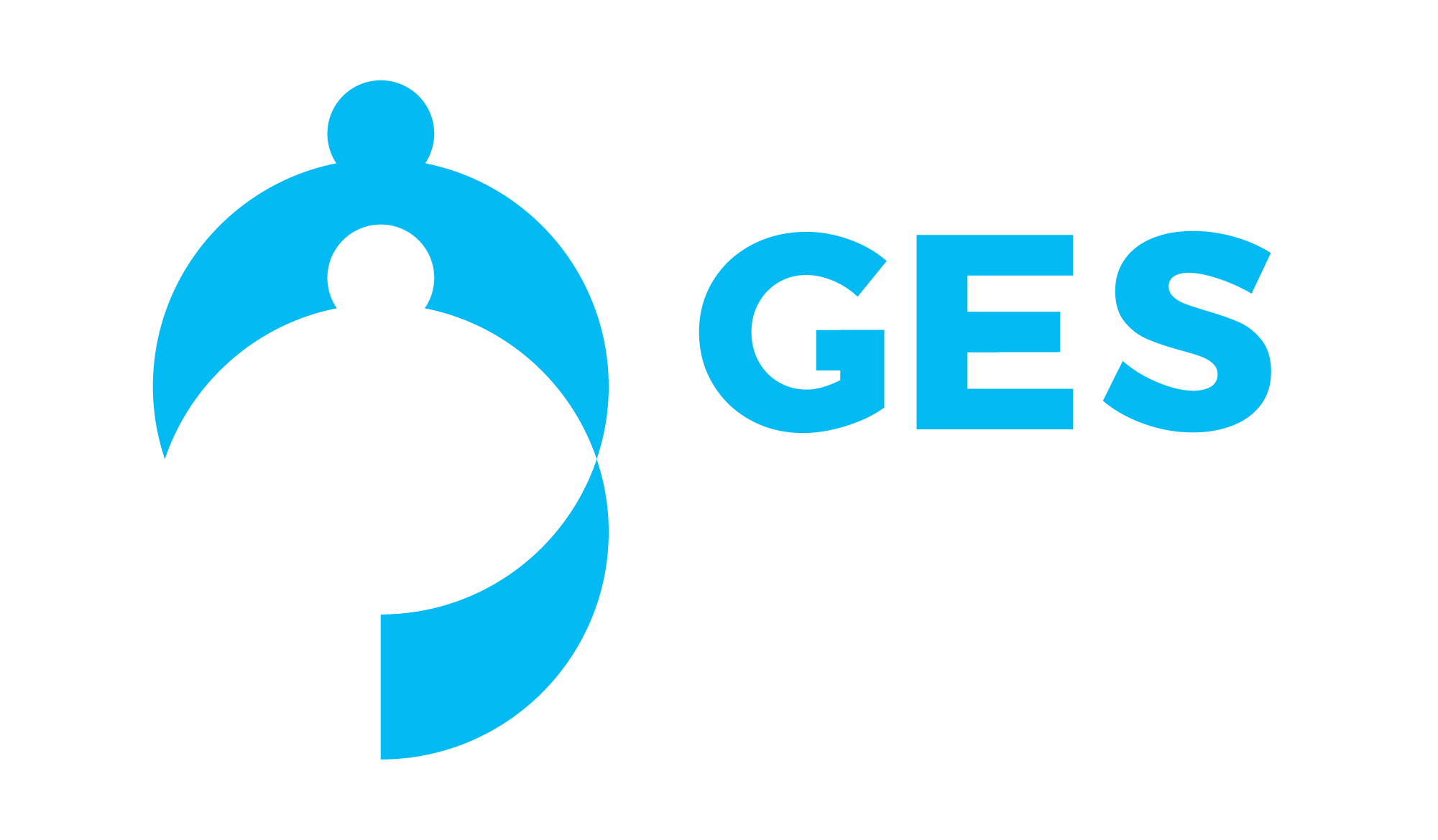 senior-management-consultant-gesgroup-your-bridge-to-success